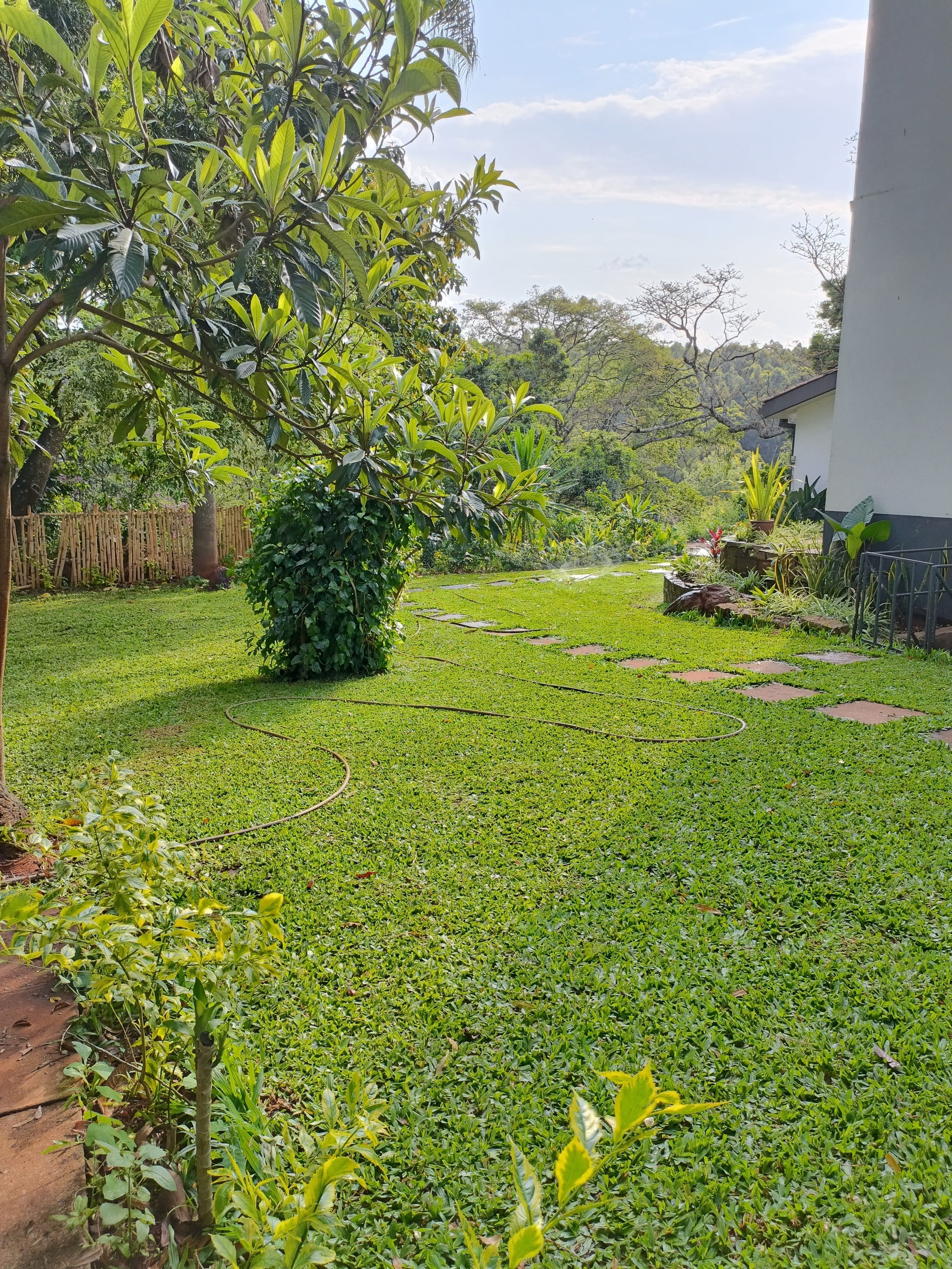 Sarba Landscapes Ltd